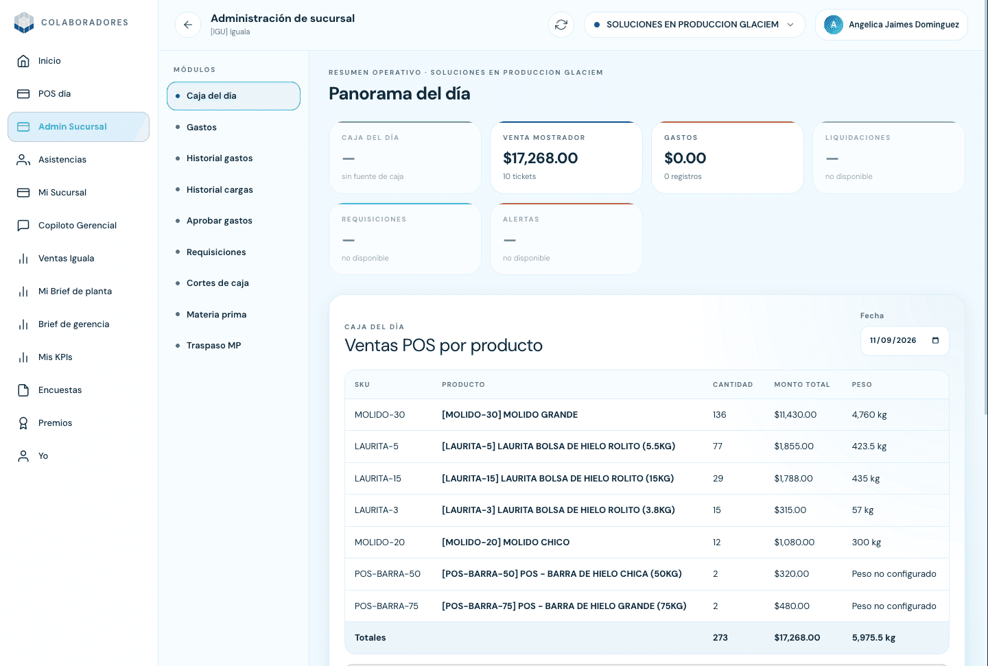 Panorama del día con caja, gastos y ventas POS por producto.